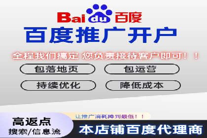 初学者的百度竞价推广：成功案例揭秘